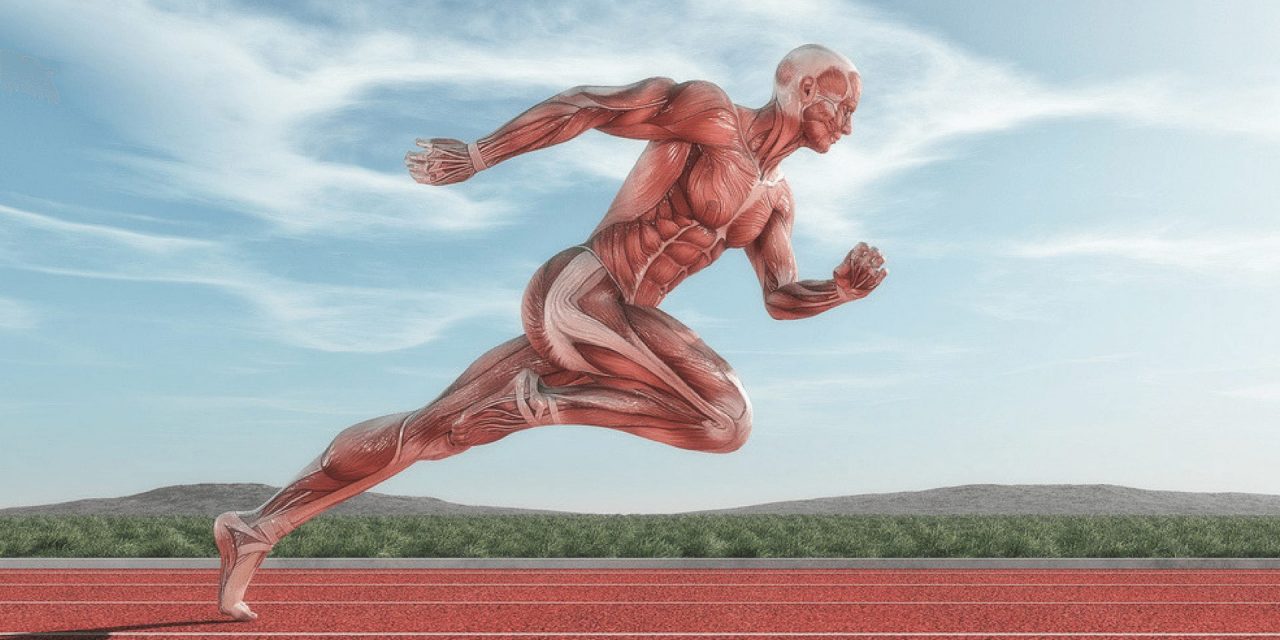 TRAINING THE NERVOUS SYSTEM TO RECRUIT MUSCLE FIBERS