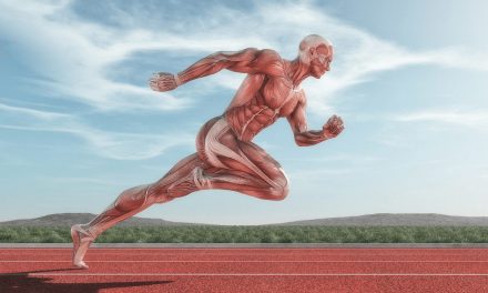TRAINING THE NERVOUS SYSTEM TO RECRUIT MUSCLE FIBERS